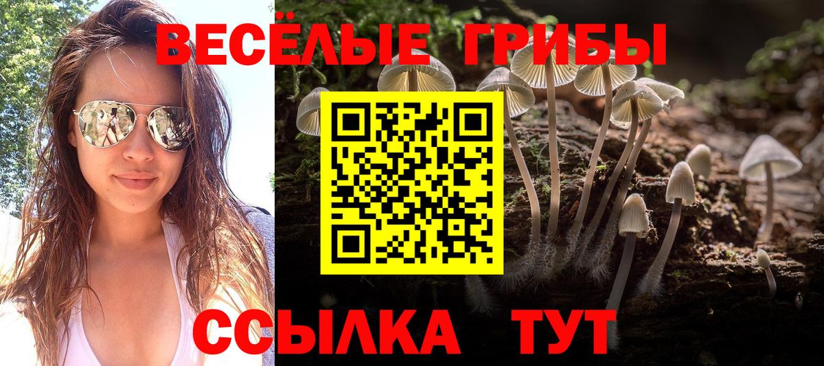 Псилоцибиновые грибы Cubensis Южноуральск