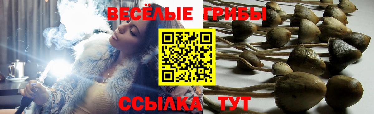 Южноуральск  Псилоцибиновые грибы MAGIC MUSHROOMS  Вход с VPN 